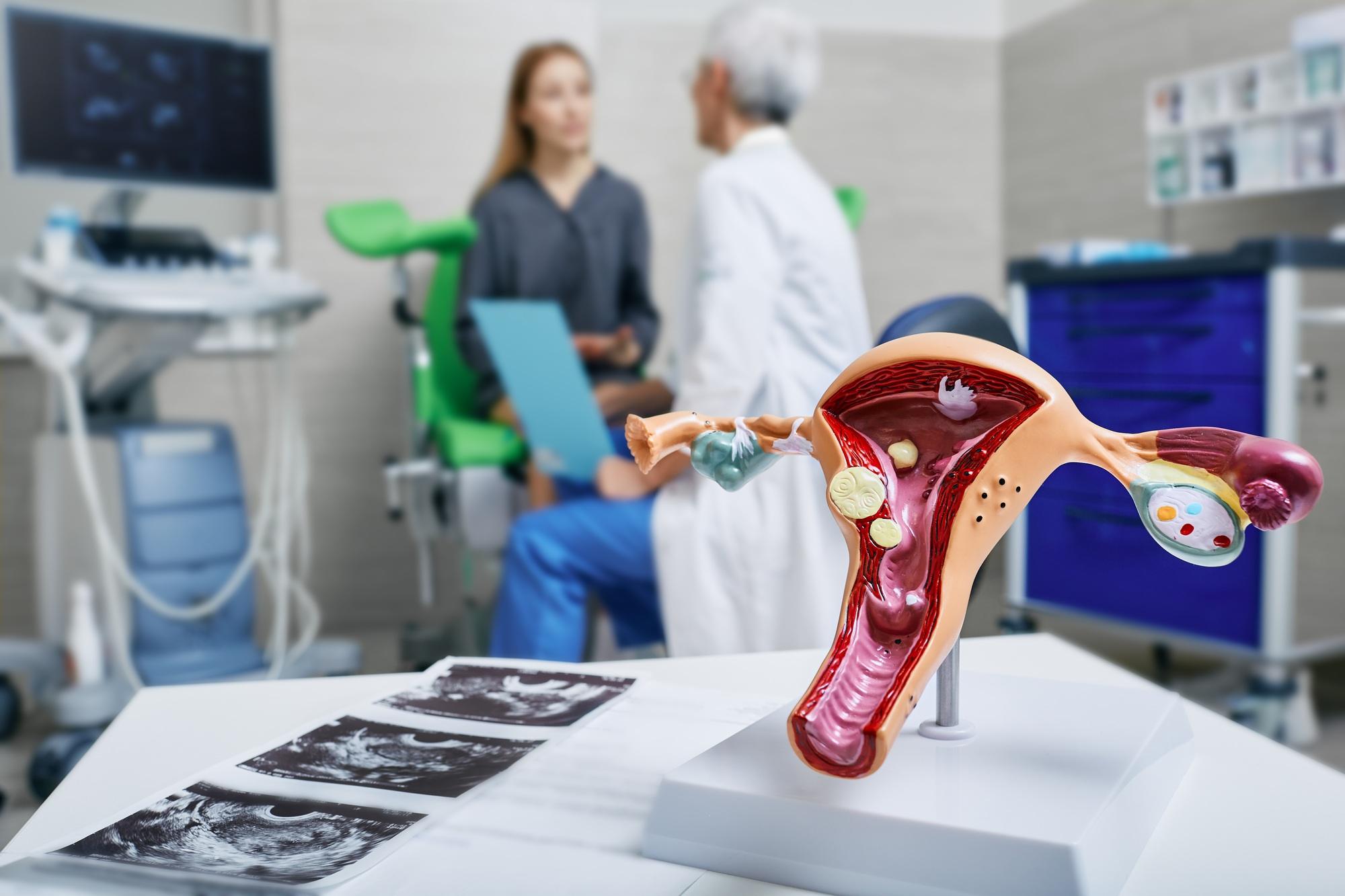 Check-up of woman by doctor gynecologist for prevention and treatment of female gynecological