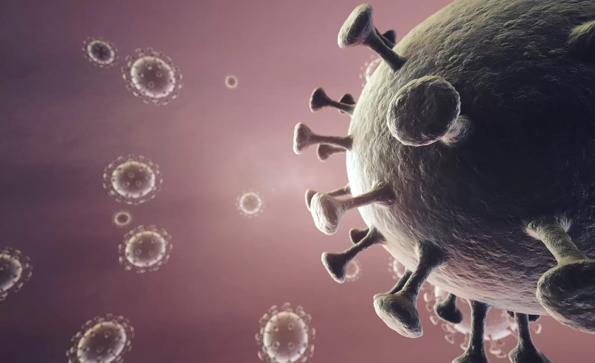 COVID-19 Coronavirus