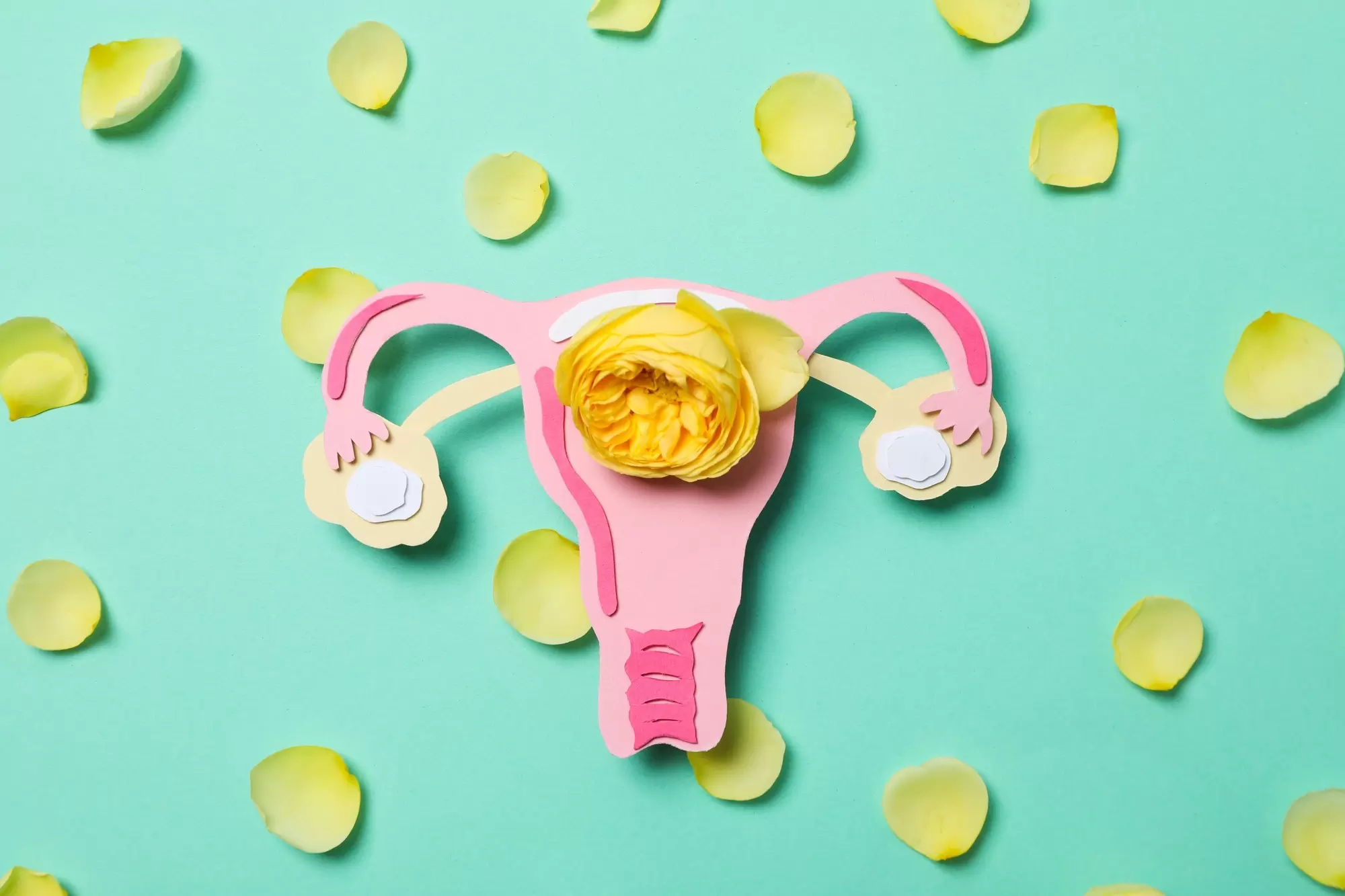 Women's health and women's healthcare concept with uterus