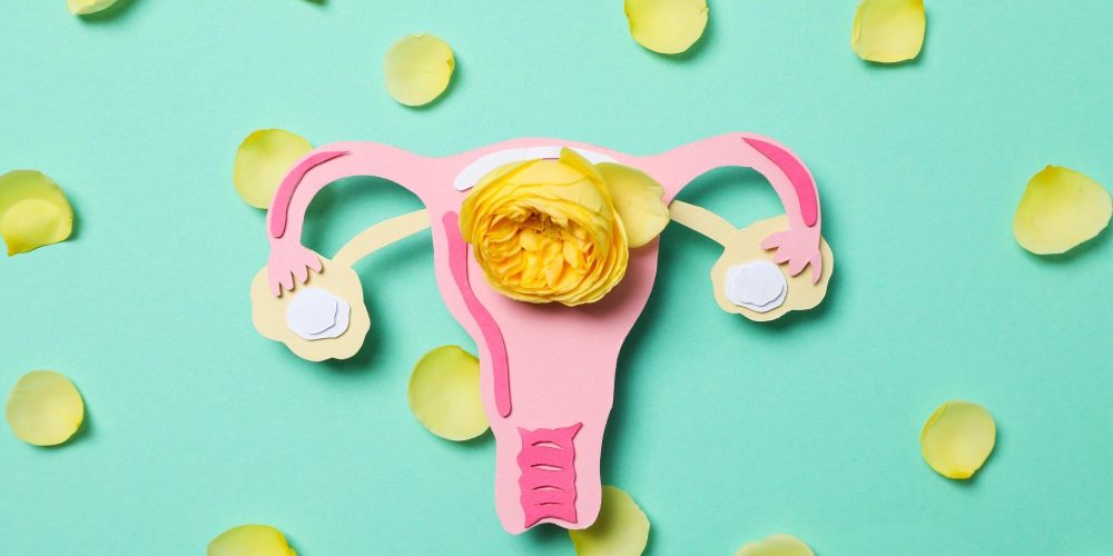 Women's health and women's healthcare concept with uterus